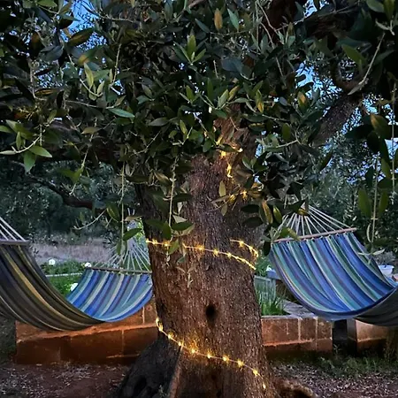 La Monacedda Apartamento